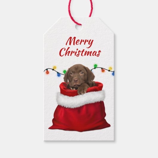 Chocolate Labrador Retriever Puppy in Santa Bag Cadeaulabel (Voorkant)