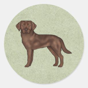 Chocolate Labrador Retriever Schattige Lab Hond Gr Ronde Sticker