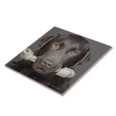 Chocolate Labrador Tegeltje (Zijkant)
