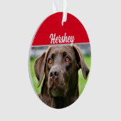 Chocolate Labrador with Name and Photo Christmas (devant)