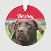 Chocolate Labrador with Name and Photo Christmas (devant)
