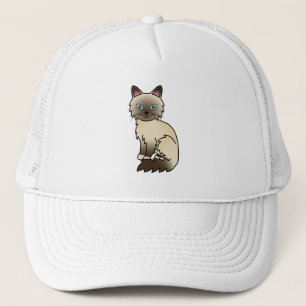 Chocolate Point Birman / Ragdoll kat Trucker Pet
