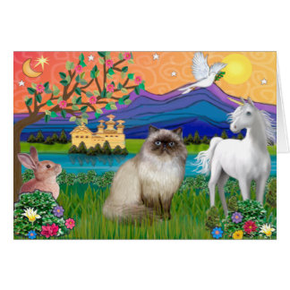 Chocolate Point Himalaya Cat - Fantasy Land