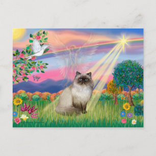 Chocolate Point Himalayan Kat - Engel in de Wolke Briefkaart