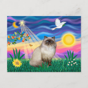 Chocolate Point Himalayan Katt - Schemering Briefkaart