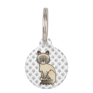 Chocolate Point Tabby Birman/Ragdoll & Huisdier In Huisdierpenning