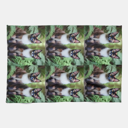 Chocolate Siamese Cat Twins, Dish Towel Theedoek (Horizontaal)