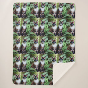 Chocolate Siamese Cat Twins, Lge Sherpa Blanket Deken