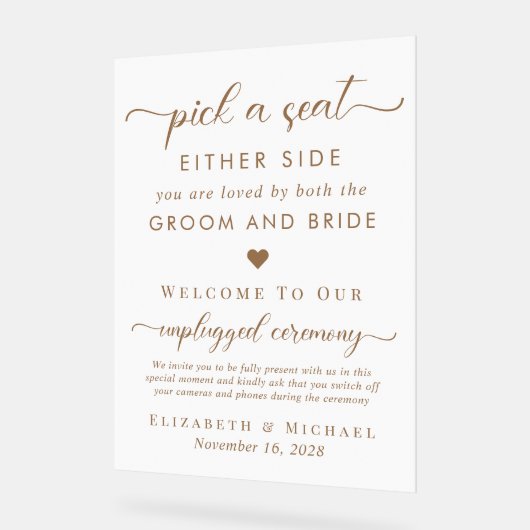 Choisir Un Siège De Chaque Côté Mariage Siège Blan (Angle)