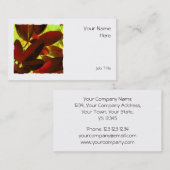 Choisya Autumn 2 vierkante visitekaartje wit (Voorkant / Achterkant)