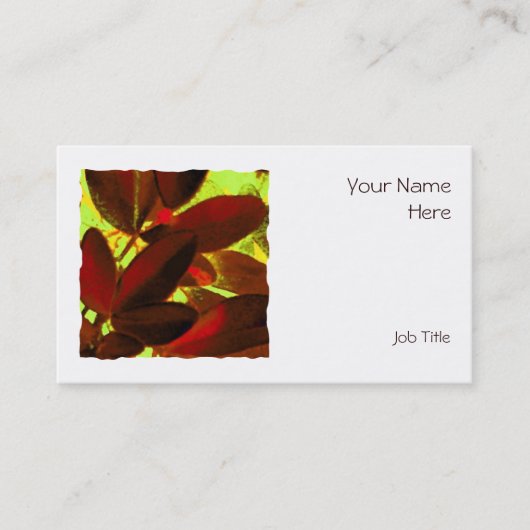 Choisya Autumn 2 vierkante visitekaartje wit (Voorkant)