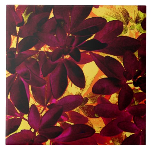 Choisya Autumn-keramisch tegels Tegeltje (Voorkant)