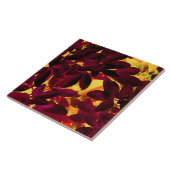 Choisya Autumn-keramisch tegels Tegeltje (Zijkant)