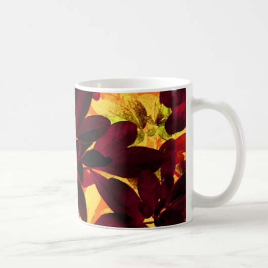 Choisya Mug bicolore d'automne (Droite)