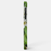 Choisya Ternata Case-Mate iPhone Case (Achterkant/links)
