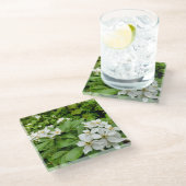 Choisya Ternata Glazen Onderzetter (Schuin)