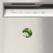 Choisya Ternata Magneet (Insitu (Vaatwasser))