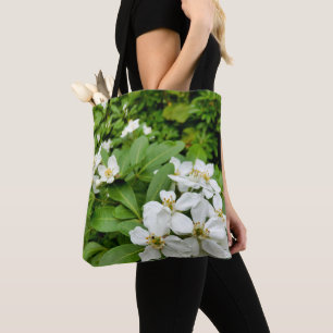 Choisya Ternata Tout sur le sac à imprimer