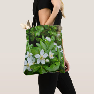 Choisya Ternata Tout sur le sac à imprimer