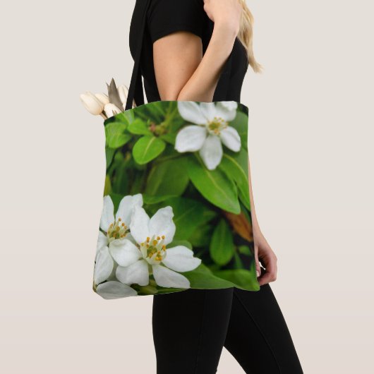 Choisya Ternata Tout sur le sac à imprimer (De près)