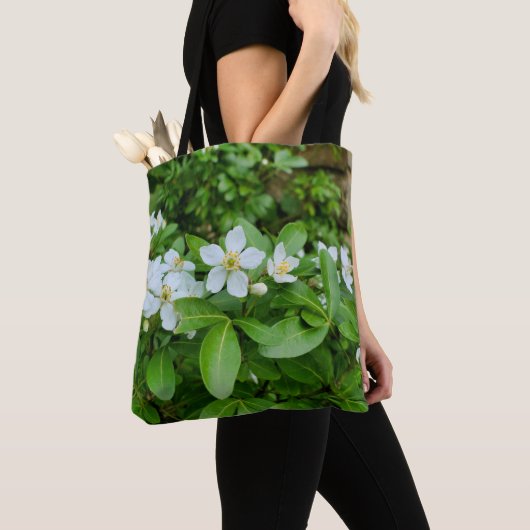 Choisya Ternata Tout sur le sac à imprimer (De près)