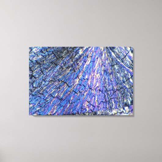 Cholesterolkristallen bekeken in gepolariseerd lic canvas afdruk (Voorkant)