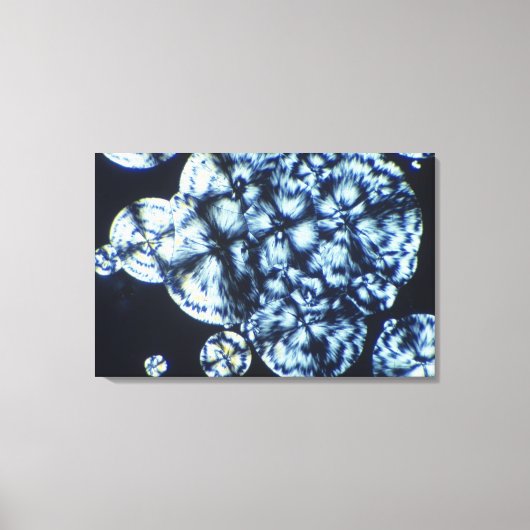 Cholesterolkristallen bekeken in gepolariseerd lic canvas afdruk (Voorkant)