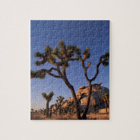 Cholla cactus en Pet Rock, Joshua Tree Legpuzzel (Verticaal)