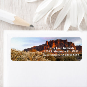 Cholla Cactus Superstition Mountain Arizona Etiket