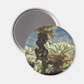 Cholla Middag Magneet (Voorkant / Achterkant)