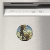 Cholla Middag Magneet (Insitu (Vaatwasser))