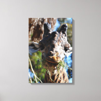 Chompin ! Toile tendue