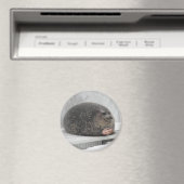 Chonky seal Magnet Magneet (Insitu (Vaatwasser))