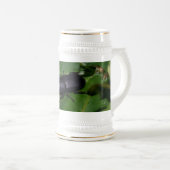 Chope À Bière Dorcus parallelipipedus, le moindre dendroctone du (Devant droit)