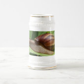 Chope À Bière Escargot africain géant - Achatina Stein (Centre)