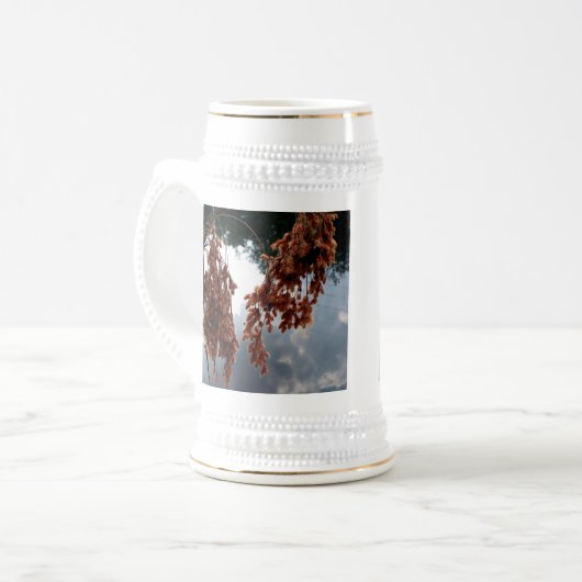 Chope À Bière Monde de réflexion (Devant gauche)