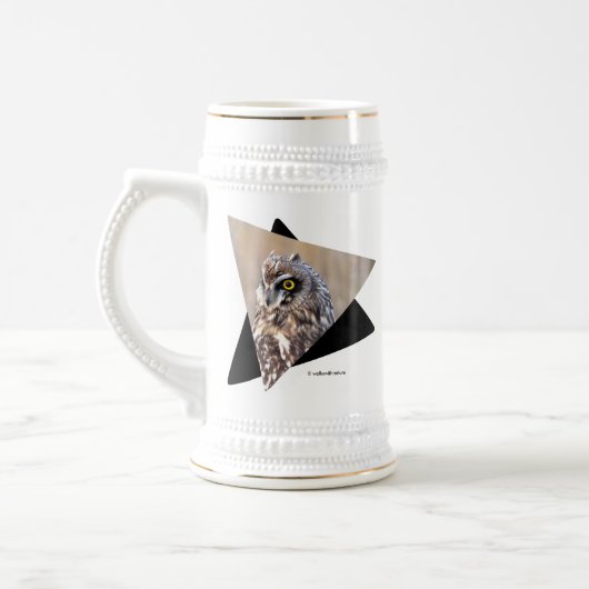 Chope À Bière Portrait d'une chouette à courte portée dans les m (Gauche)