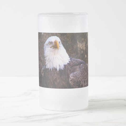 Chope Givrée Aigle de Bald (Centre)