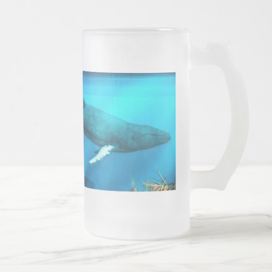 Chope Givrée Baleines de bosse (Droit)