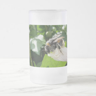 Chope Givrée Bee in summer