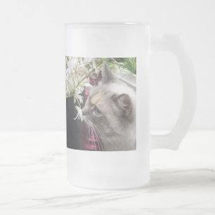 Chope Givrée Cat