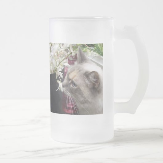 Chope Givrée Cat (Droit)