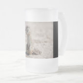 Chope Givrée Cuisine sqirrel (Devant droit)