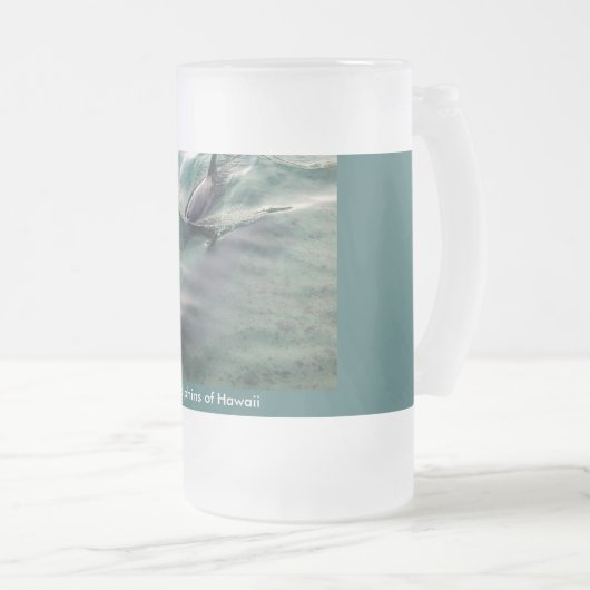 Chope Givrée Dauphins d'Hawaï (Devant droit)