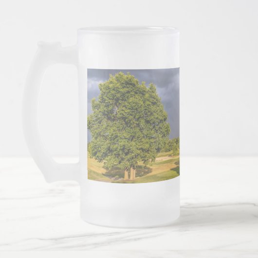 Chope Givrée Double arc-en-ciel à travers la pluie givrée Musiq (Gauche)