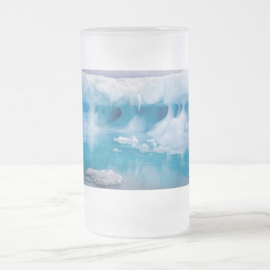 Chope Givrée Glace en Antarctique (Centre)