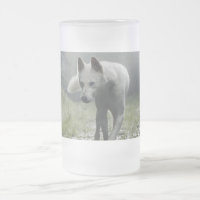 Husky Sibérien Blanc