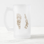 Chope Givrée Les os du pied humain (Gauche)