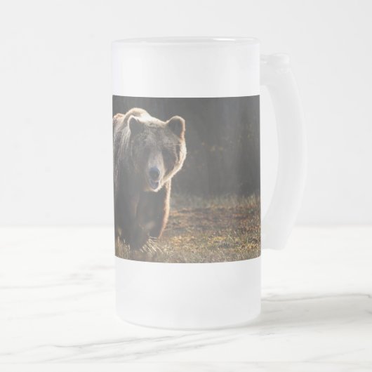 Chope Givrée Ours (Devant droit)