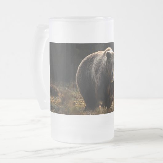 Chope Givrée Ours (Devant gauche)